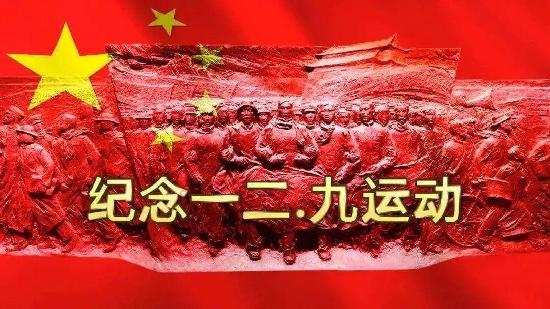 学习插花艺术